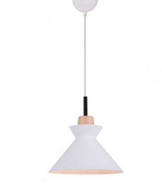 180066 Pendant Light