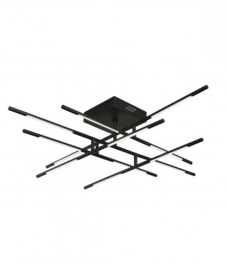 Raccio Ceiling 48W Black / Laevalgusti