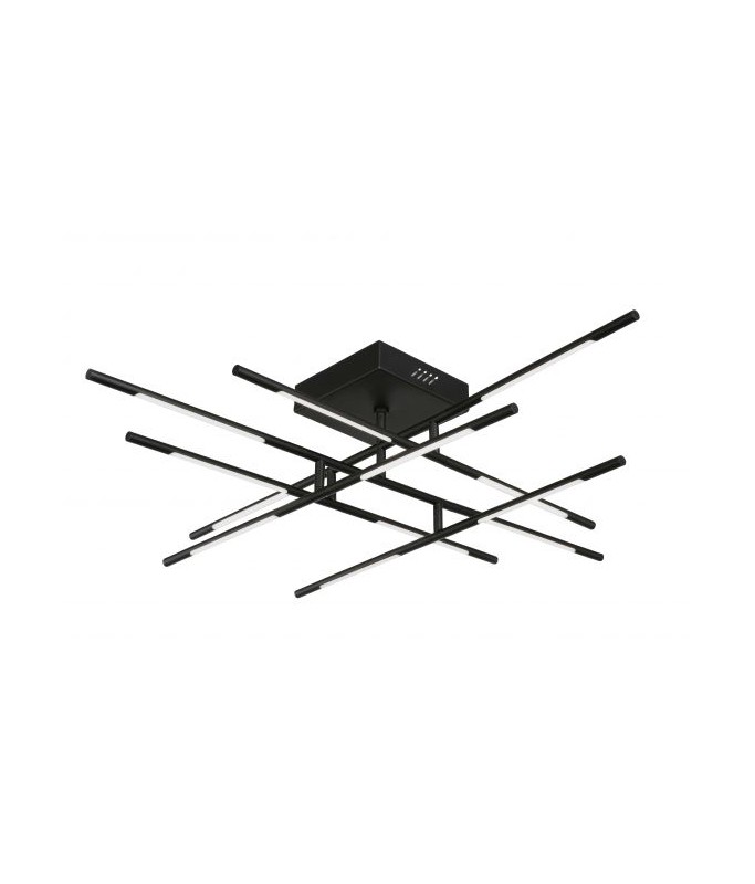 Raccio Ceiling 48W Black / Laevalgusti