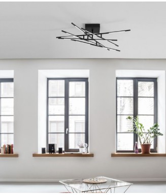 Raccio Ceiling 48W Black / Laevalgusti