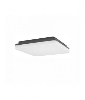 Tommy Square 30W LED IP54