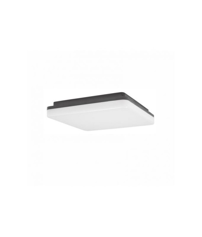 Tommy Square 30W LED IP54